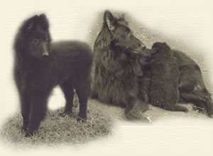 FaribaThemenbild-_Time_goes